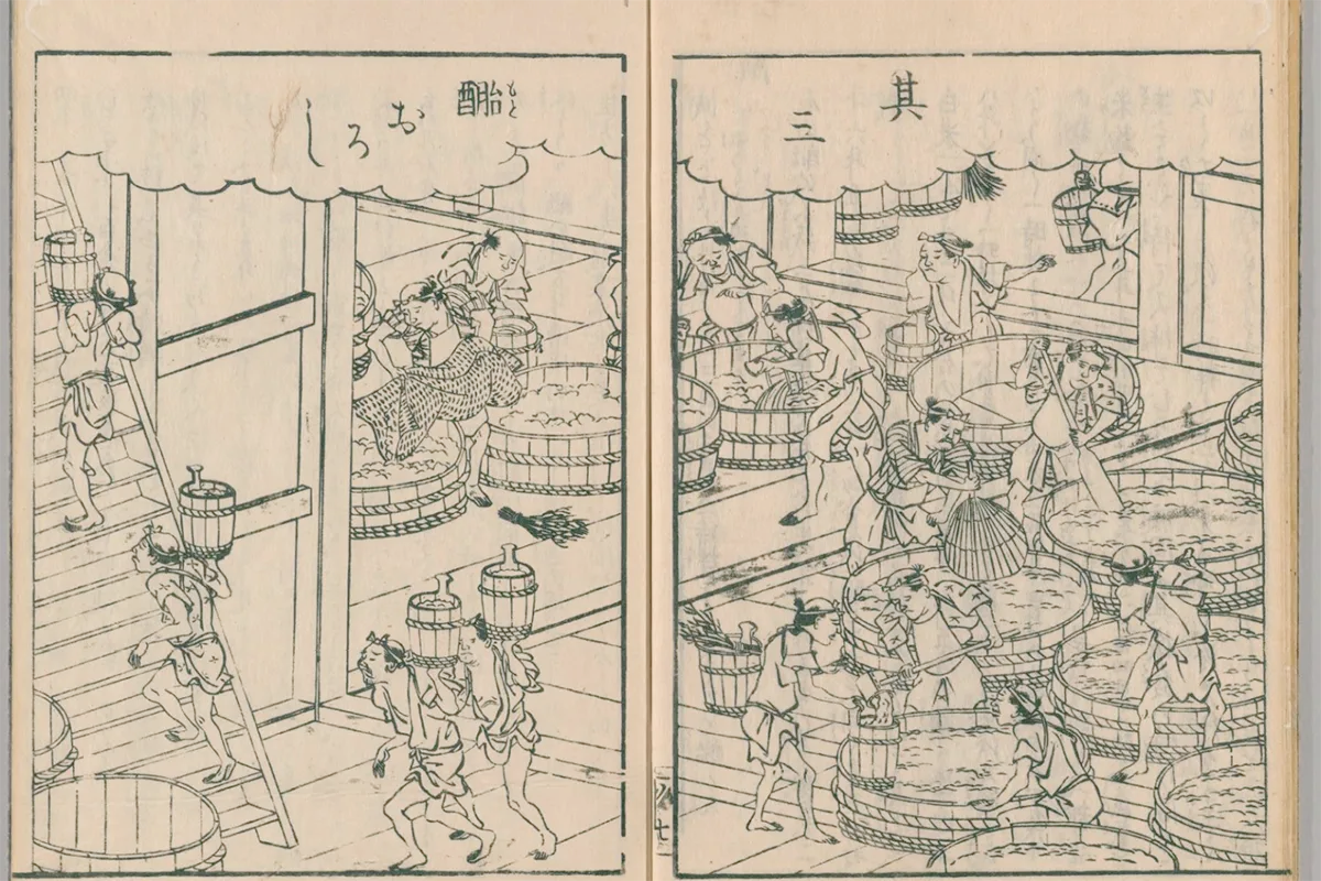 JUNE 24, Treasures from Okayama, Part 2: Gozenshu Bodaimoto Nigori