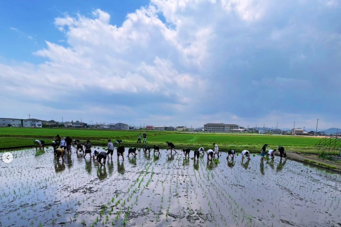 JAN 26: Shiga Magic- Unraveling the threads