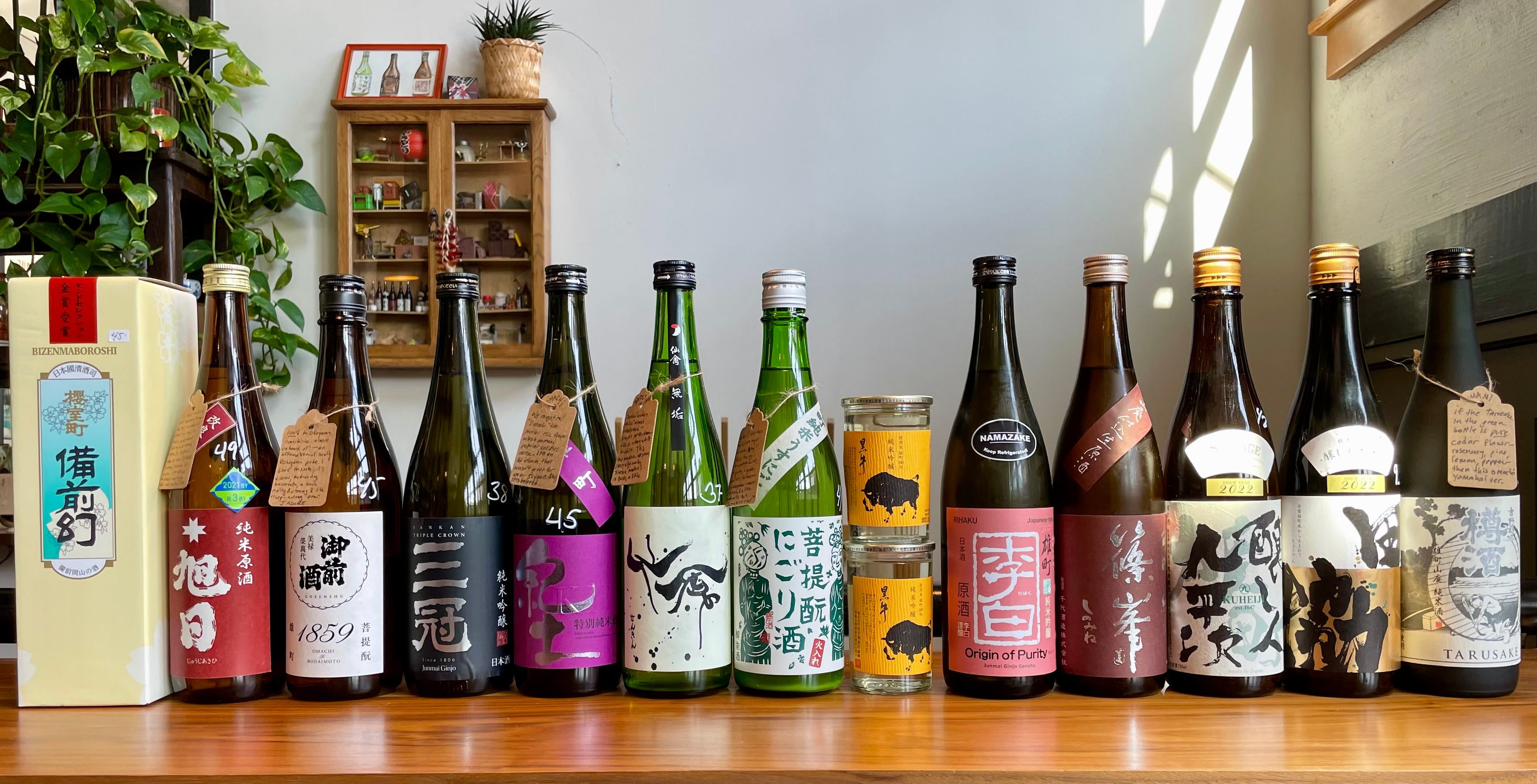 IMG_4090.jpg?v=1721950097