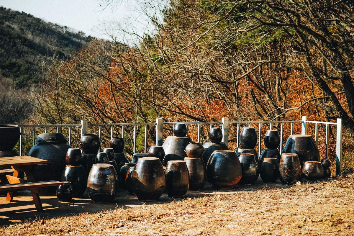 Korean Sool