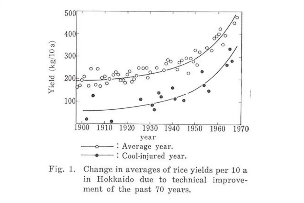 Change in averages of rice yields per 10 ha in Hokkaido due to technical improvements in growing and Kamenoo breeds.