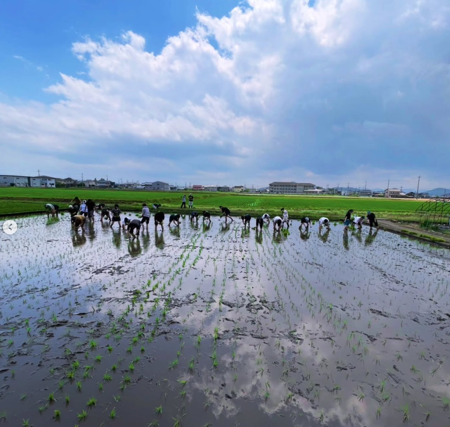 January 2026: Shiga Magic- Unraveling the threads