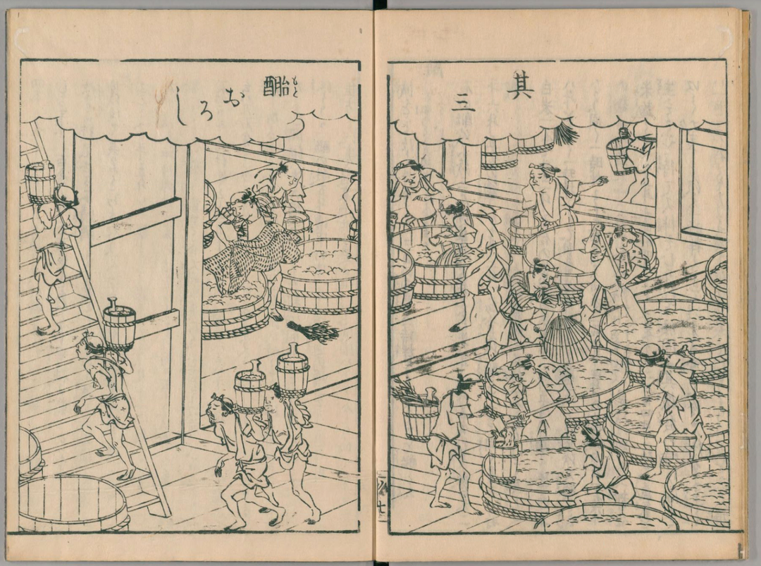 JUNE 24, Treasures from Okayama, Part 2: Gozenshu Bodaimoto Nigori