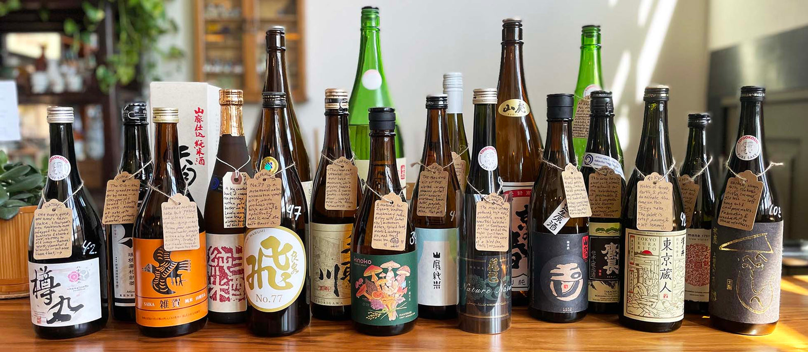 yamahai, kimoto & bodaimoto