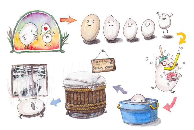 The path of sake rice
