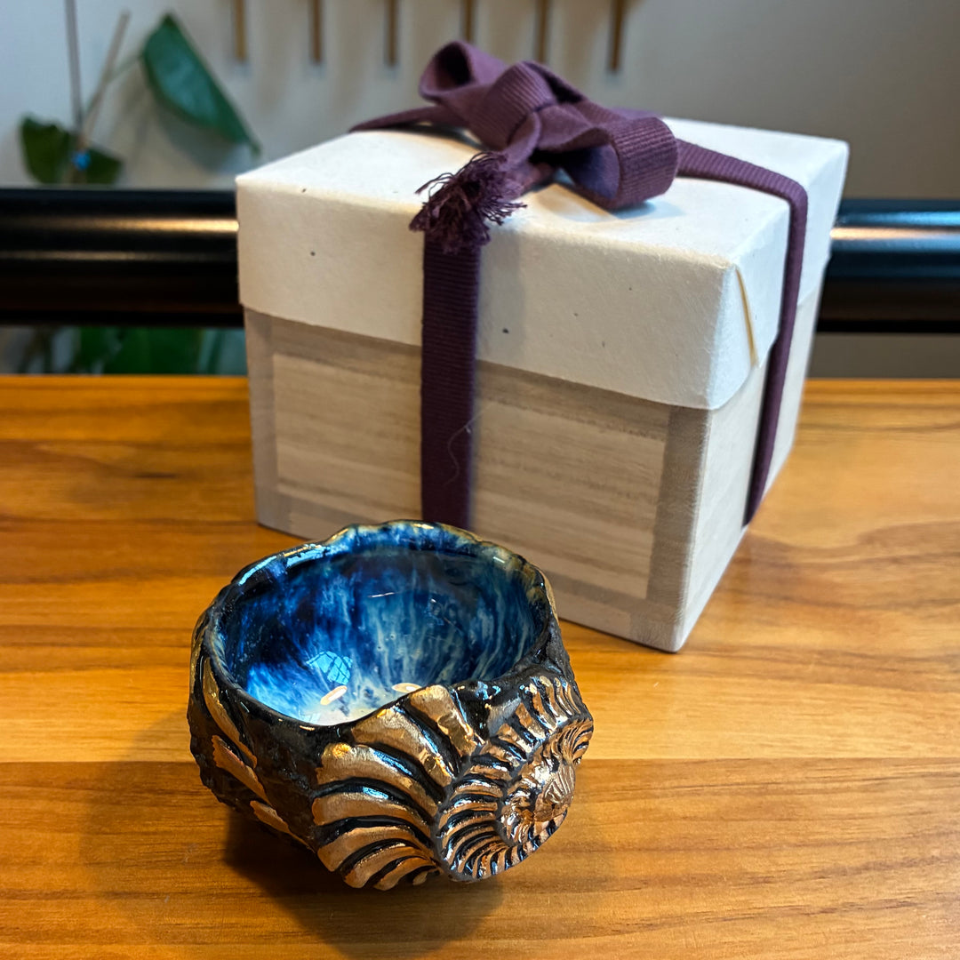 Ryoma Hiramatsu: Ammonite Cup