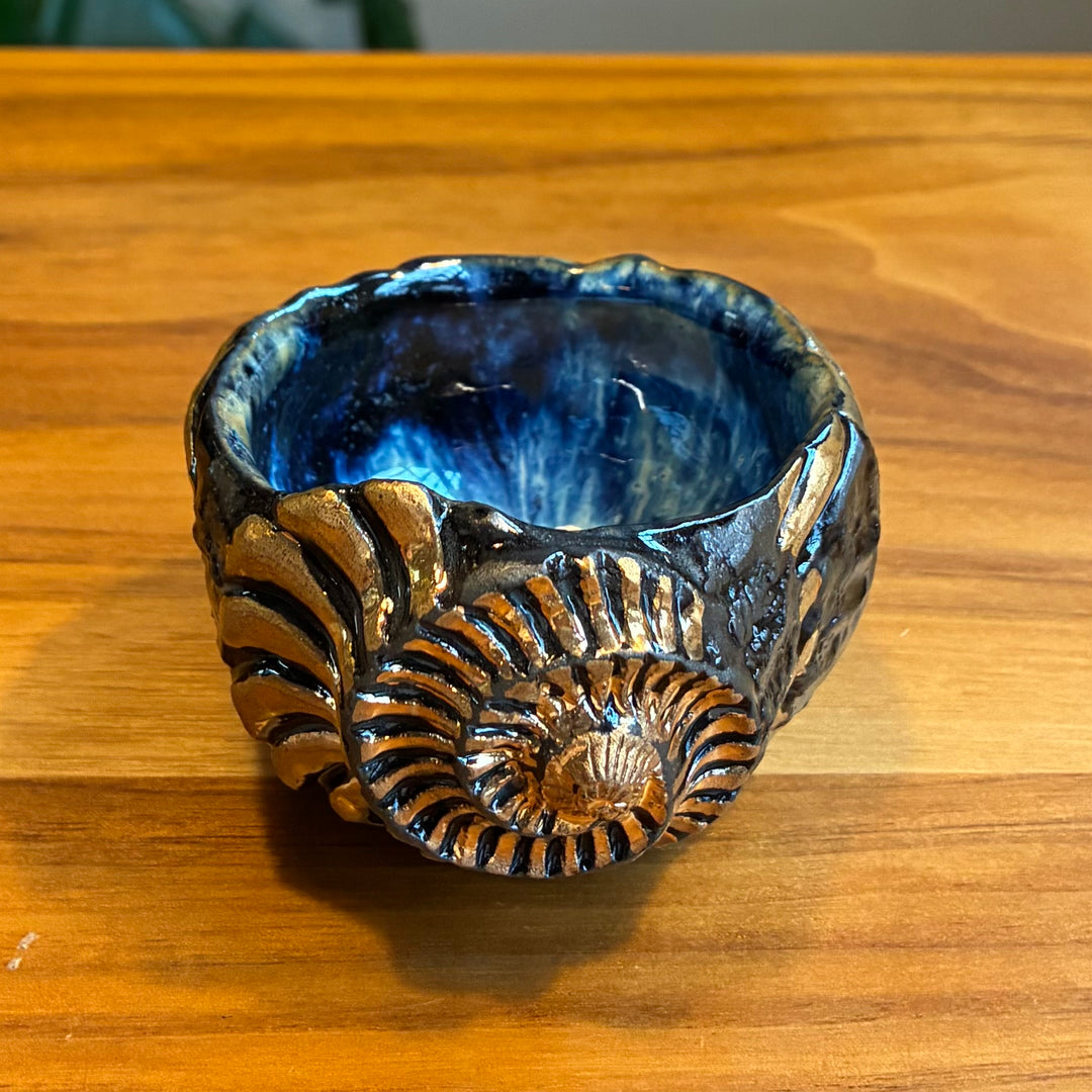 Ryoma Hiramatsu: Ammonite Cup