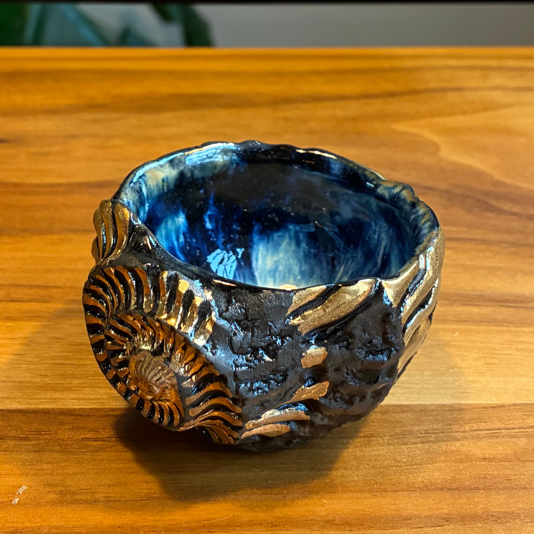 Ryoma Hiramatsu: Ammonite Cup