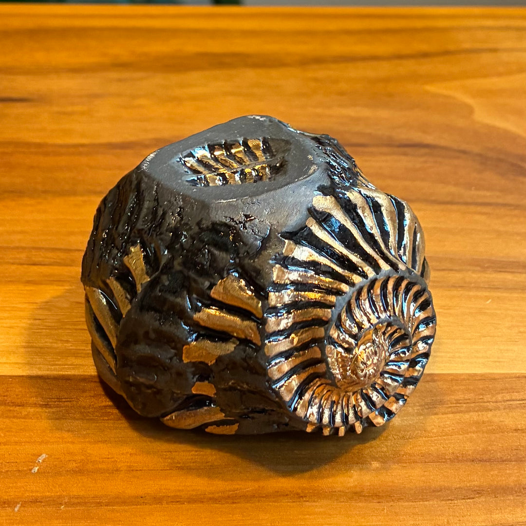 Ryoma Hiramatsu: Ammonite Cup