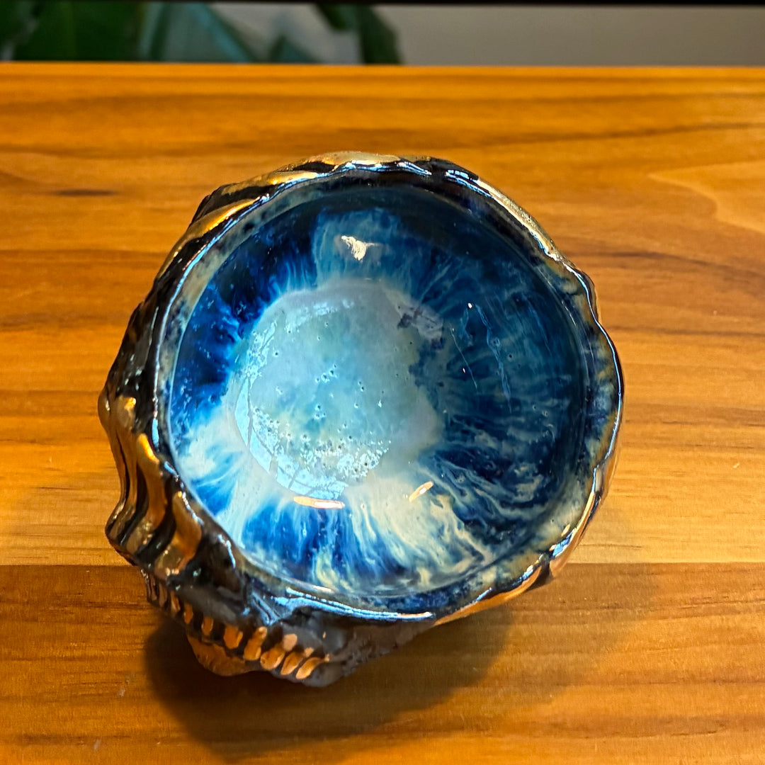 Ryoma Hiramatsu: Ammonite Cup