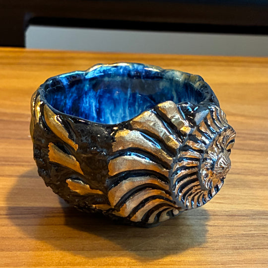 Ryoma Hiramatsu: Ammonite Cup