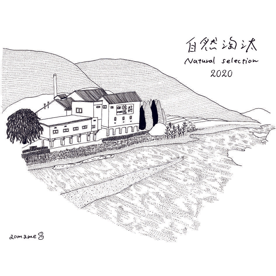 Hanatomoe Mizumoto Junmai MNG "Natural Selection" Fall 2024