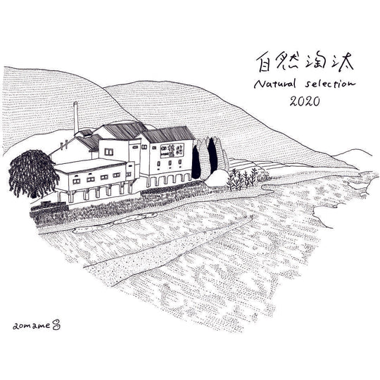 Hanatomoe Mizumoto Junmai MNG "Natural Selection" Fall 2024